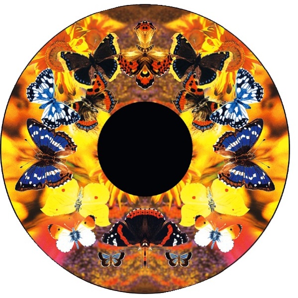 Тематичен диск за проектор Aura - Пеперуди