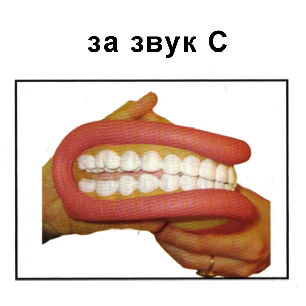 Логопедичен макет на уста голям