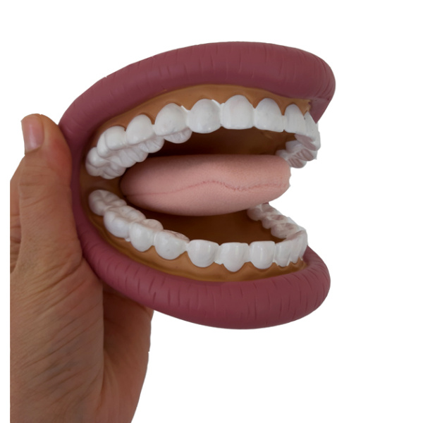 Логопедичен макет на уста голям