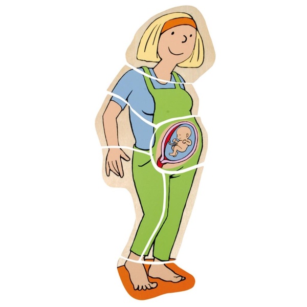 Бременност на майката - многослоен дървен пъзел