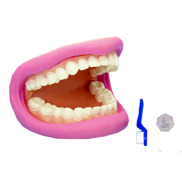 Макет на уста с четка за зъби