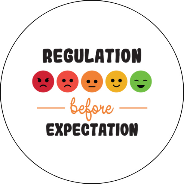 Забавна значка Regulation Before Expectation