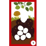 Жизнени цикли - игра с карти